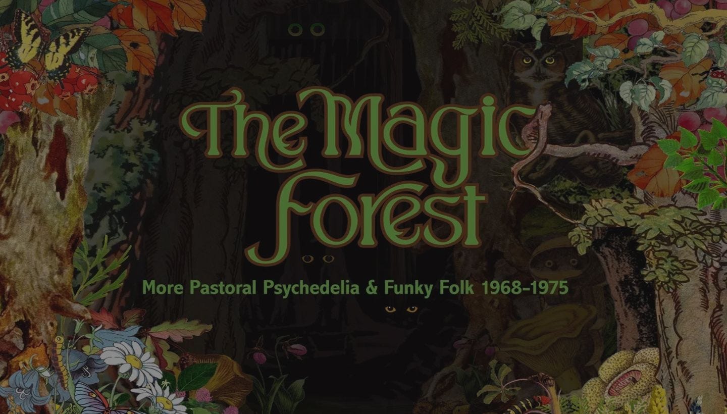 THE MAGIC FOREST | More Pastoral Psychedelia & Funky Folk 1968-1975 3CD out now!