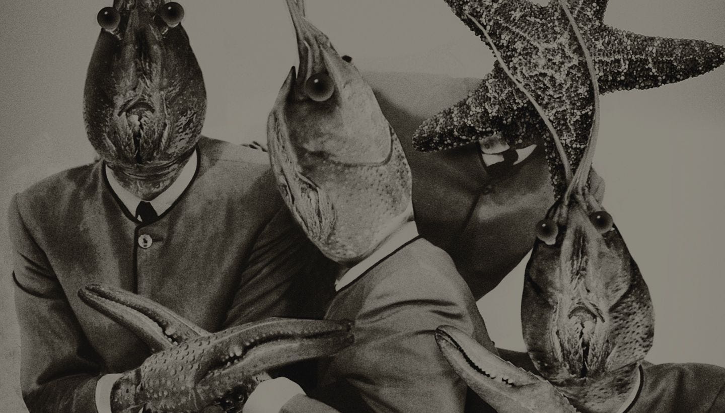 THE RESIDENTS | Get 15% off The Resident's back catalogue this month